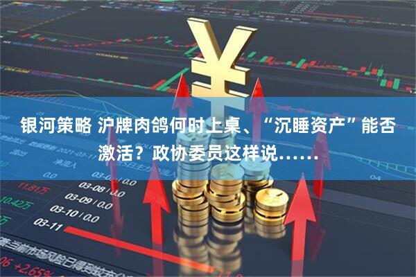 银河策略 沪牌肉鸽何时上桌、“沉睡资产”能否激活？政协委员这样说……